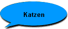 Katzen